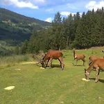 - Bauernhof 3* Sankt Lorenzen ob Murau